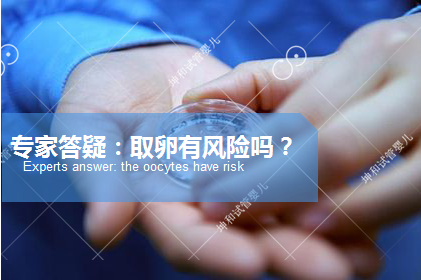广州取卵有风险吗