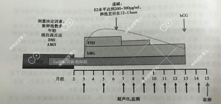 激素的评估和周期监测