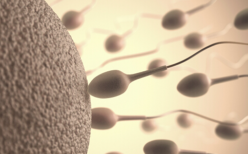 坤和专家讲解：试管婴儿前男性需要了解哪些备孕知识