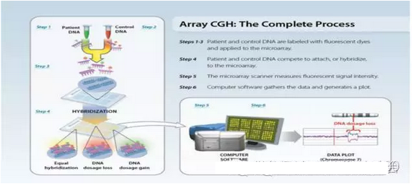 微阵列-比较基因组杂交在辅助生殖中的应用