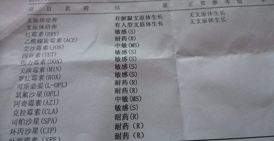 支原体感染可以做试管婴儿吗