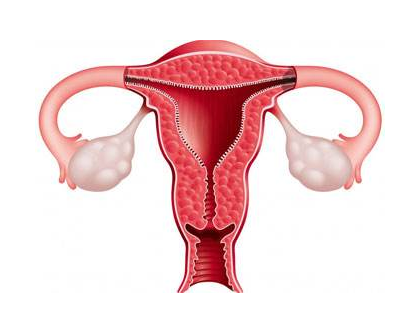 子宫内膜薄可以做试管婴儿吗