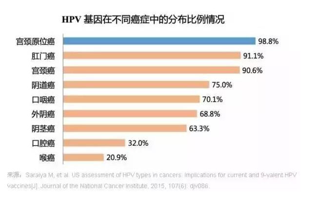 HPV基因在不同癌症中的分布比例情况