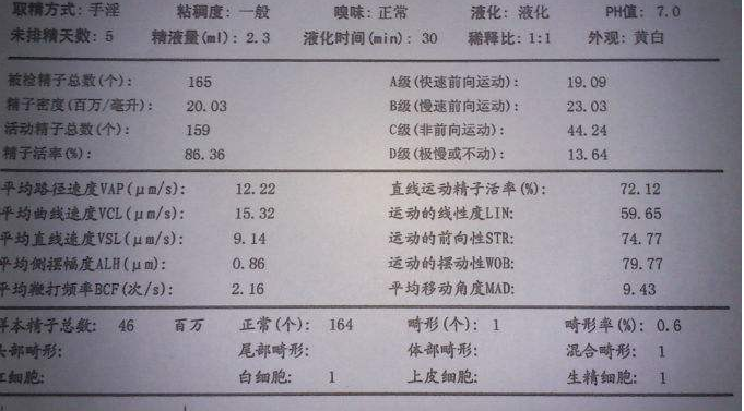 试管婴儿进周前，精液检查报告各项指标说明了什么