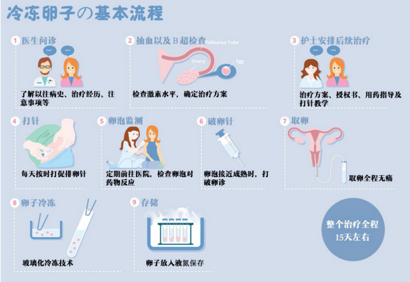 专家讲解：美国冷冻卵子的基本流程