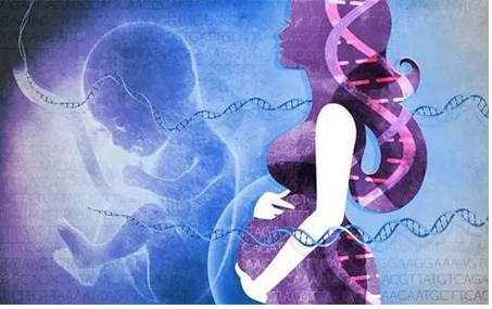 基因检测—从恋爱到生娃的遗传学歌剧