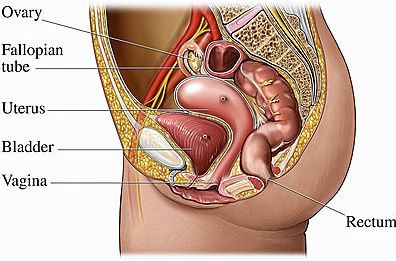 卵巢储备功能不足，坤和试管婴儿如何成功助孕