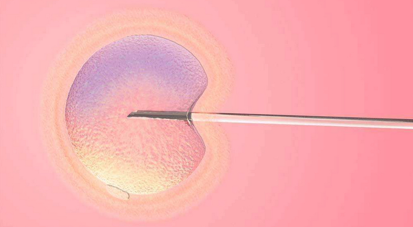 专家讲解关于胚胎移植常见问题