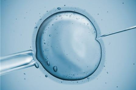 试管婴儿PGS/PGD如何确保囊胚健康移植