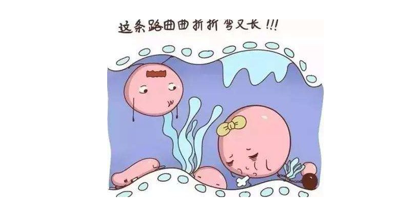 输卵管积水能去上海做试管吗