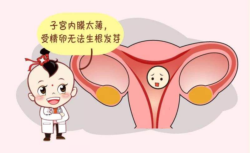 子宫内膜薄对试管助孕的成功率影响大吗