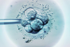 坤和上海助孕中心胚胎培养技术