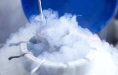 试管婴儿的冻胚移植是什么？