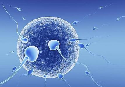 上海试管辅助生殖：美国试管婴儿胚胎多少钱？