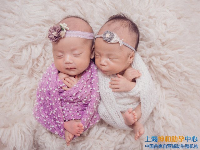 美国夏威夷双胞胎试管婴儿费用多少钱