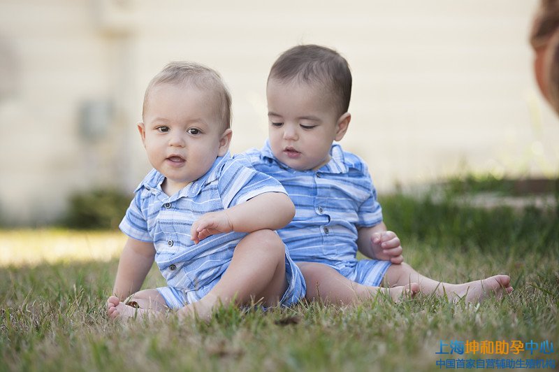 上海第三代试管婴儿双胞胎成功率