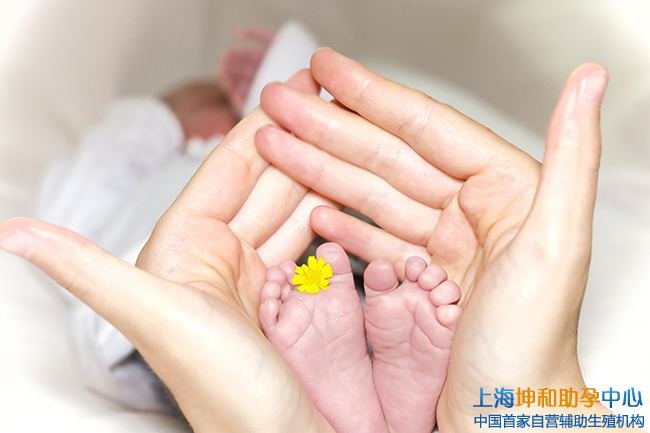 试管供卵公司：上海同性助孕选择哪里比较好