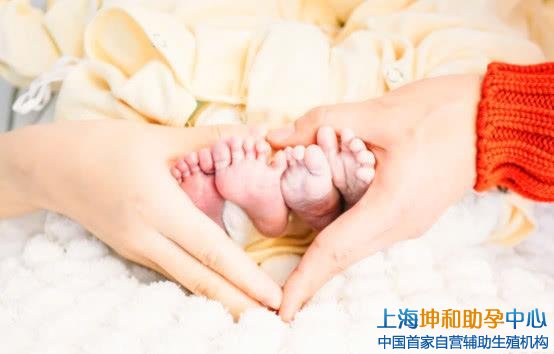 上海试管供卵公司：上海助孕机构哪家靠谱
