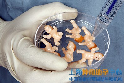 上海试管供卵助孕机构：上海供卵选择性别多少钱