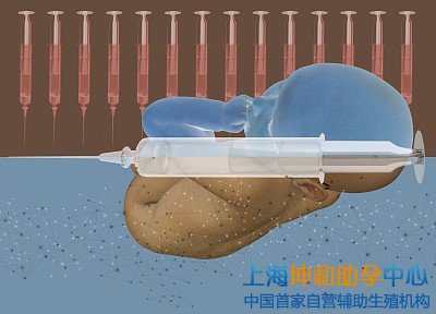 试管供卵助孕机构：上海借腹生子多少钱上海助孕公司