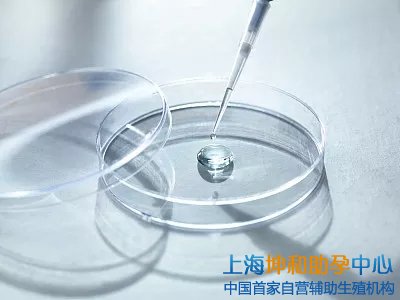 上海最大的助孕公司：上海生殖科医院做三代试管哪家好