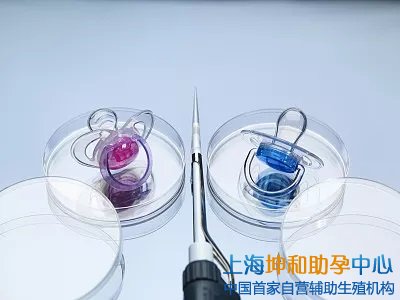 试管代生助孕机构：上海最大助孕公司