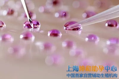 试管供卵助孕机构包成功：疫情会不会影响美国试管婴儿宝宝的健康？