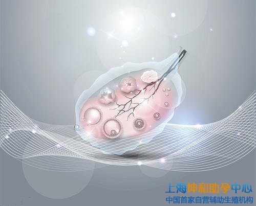 为高龄妇女提供的供卵试管代怀医院解决方案
