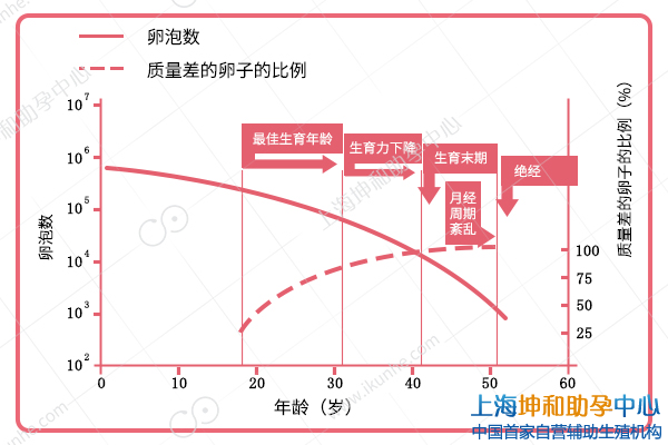 上海同性生子公司