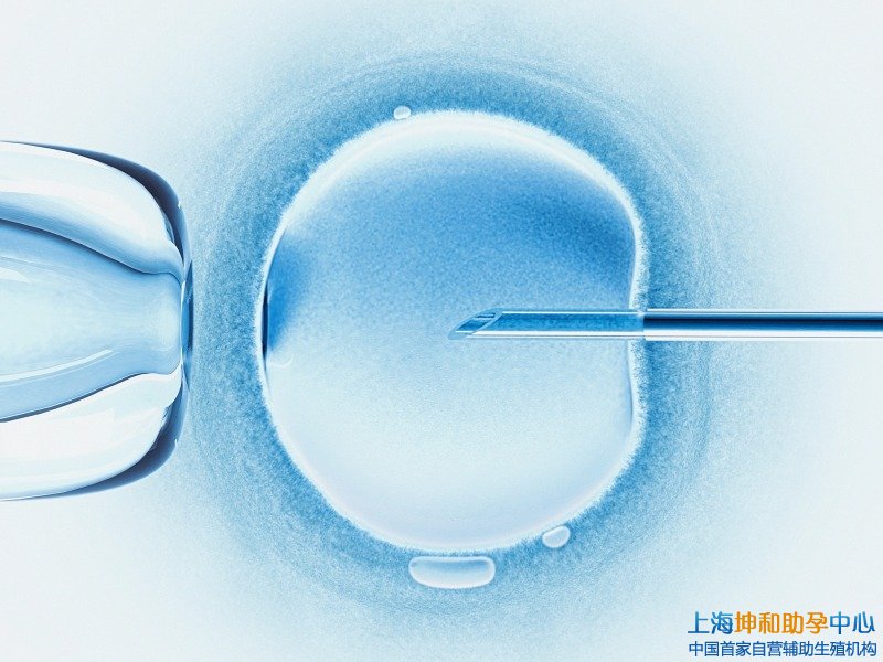 上海最大的助孕公司：输卵管堵塞能做试管婴儿吗？