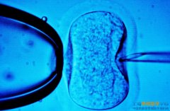 上海助孕公司_上海试管婴儿胚胎移植后几天可以测出来