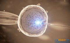 坤和助孕：子宫内膜薄会影响试管婴儿移植成功率吗？怎么办？