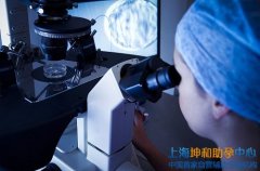 上海g_公司：女性激素水平对试管婴儿的影响？
