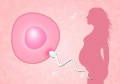 两次宫外孕还能做试管婴儿吗？一定能成功吗？