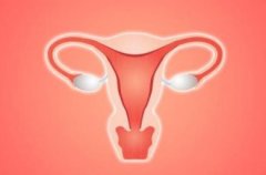 子宫内膜增生有什么症状影响做试管助孕吗？