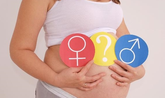 上海三代试管多少钱一次？3代试管全部明细费用曝光！