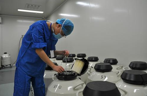 澳门试管婴儿胚胎冷冻是怎么收费的