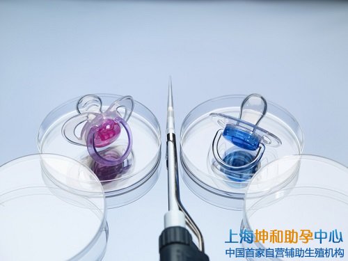 自营生殖机构
