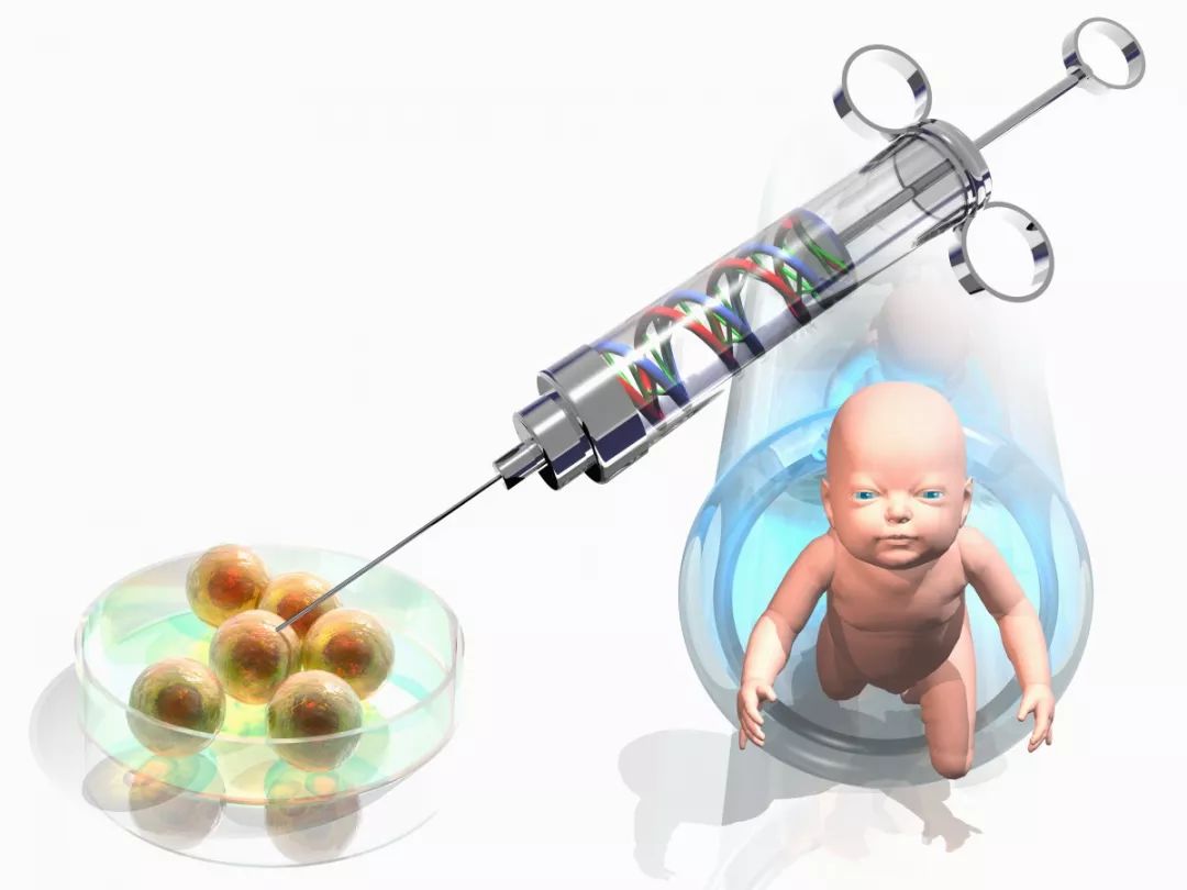 上海哪里可以做助孕试管