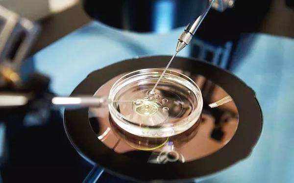 成都试管婴儿成功率最高的医院推荐